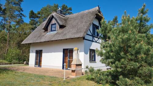 Terassenseite mit Grill.jpg - Exklusives Ferienhaus unter Reet im Fischerdorf