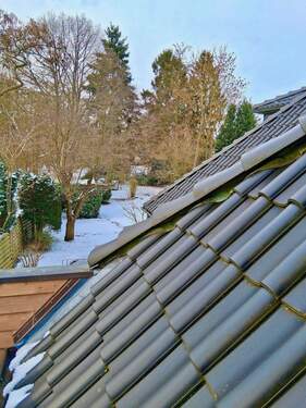 das könnte Ihr Blick von der Dachterrasse sein .-) - 