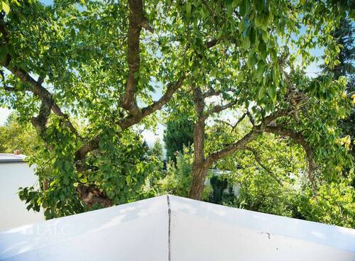 Ausblick Balkon - 