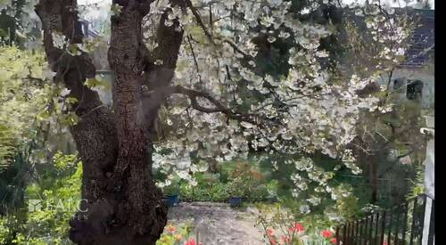 Garten-Impression - 