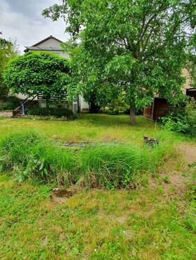 Bild 2 - 6 Zimmer Einfamilienhaus zur Miete in Neustadt an der Weinstraße