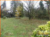 Bild 14 - 