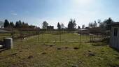 BILD5 - 