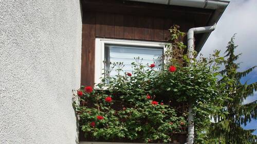 BILD12 - 