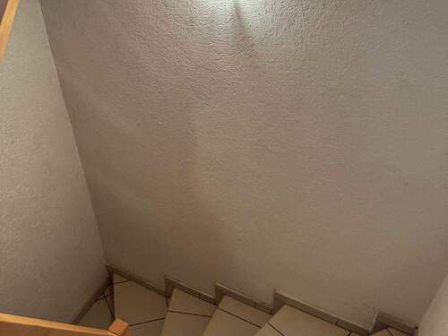 tempImage5R8751.jpg - 