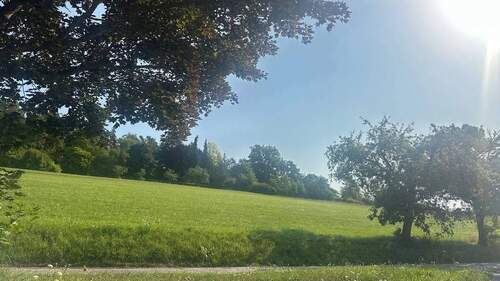 Bild 2 - 9 Zimmer Mehrfamilienhaus, Wohnhaus zum Kaufen in Ostelsheim