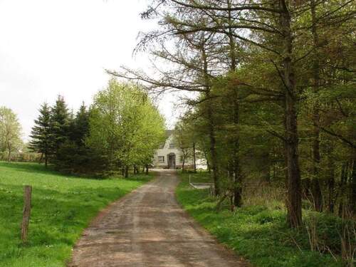 Bild 2 - 8 Zimmer Einfamilienhaus zum Kaufen in Brilon-Madfeld