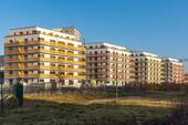 AM NEUEN PARK März 25 (11) - 