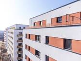 AM NEUEN PARK März 25 (23) - 