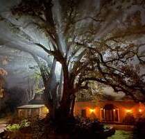 La Porfía – Mehr als ein Ort. Eine Lebensart. - Zelaya