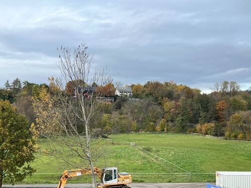 Ausblick in die Kahlauen - 