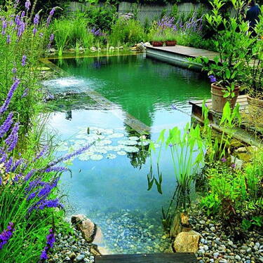 Beispiel Pool / Schwimmbad … - 
