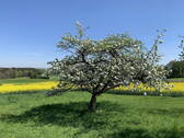 Naturparadies - 