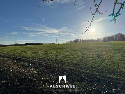 Unbenannt-1144.jpg - 