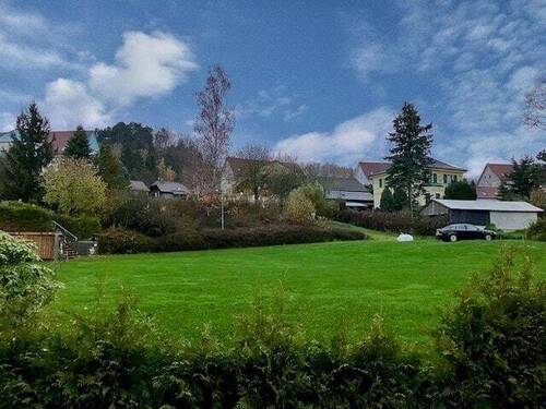 Titelbild - Hier will ich Wurzeln schlagen!