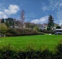 Hier will ich Wurzeln schlagen! - Mechelgrün