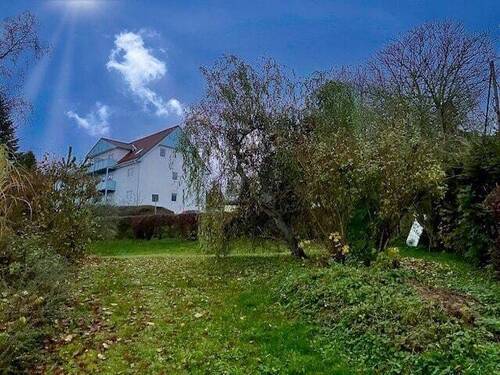 Blick zur hinteren Begrenzung - Grundstück in Mechelgrün zum Kaufen