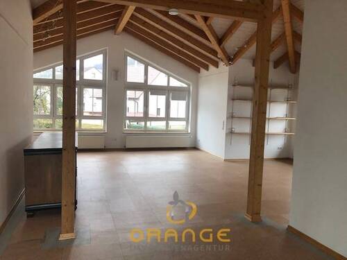 Loft - ***Große helle offene Wohnung in Saal an der Donau!***