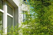 Detail_7378 - 
