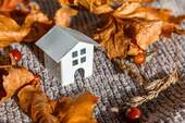 Herbst 5 - 