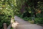 Rüdersheimer Platz_2889 - 