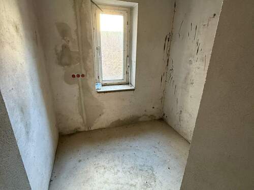 IMG_8090.jpeg - 