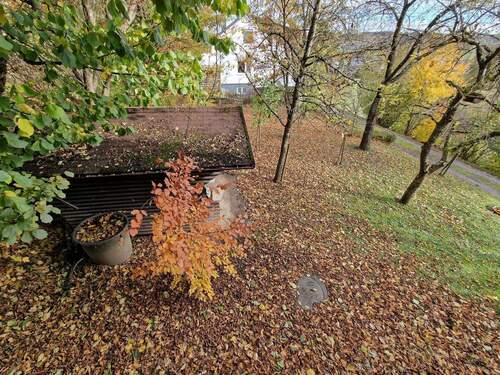 Blick auf Grundstück Südost-Seite.jpg - 