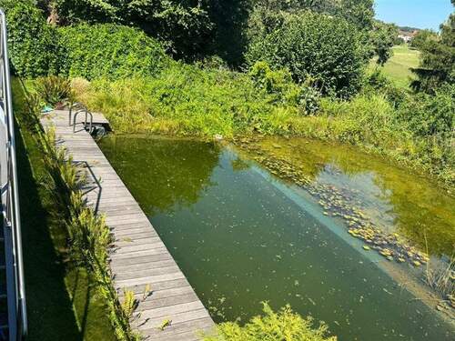 PHOTO-2025-08-09-15-14-00 9 - 