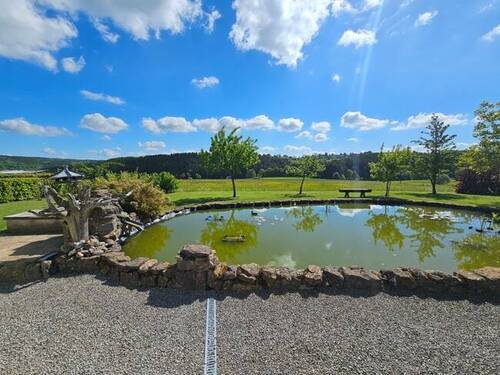 Fischteich - 