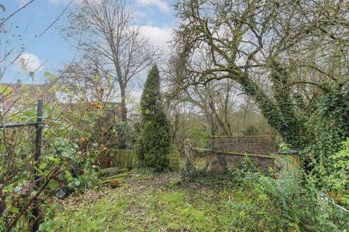 Garten im Winter - 
