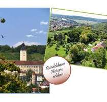 *** Einfamilienhaus in idyllischer Lage von Gundelsheim ***