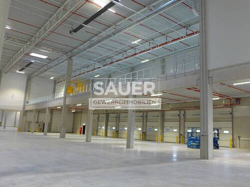 p1130442zuschnitt_watermark - Halle in Berlin