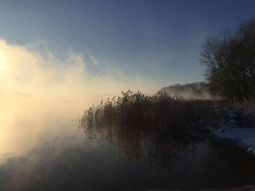 Umgebung - Nebel - Natur pur! Einzigartige Doppelhaushälfte auf parkähnlichem Grundstück mit eigenem Bachlauf