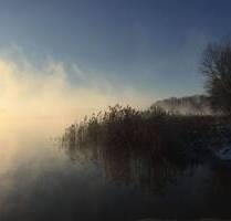 Natur pur! Einzigartige Doppelhaushälfte auf parkähnlichem Grundstück mit eigenem Bachlauf - Mucheln