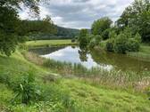 hauseigener Teich - 