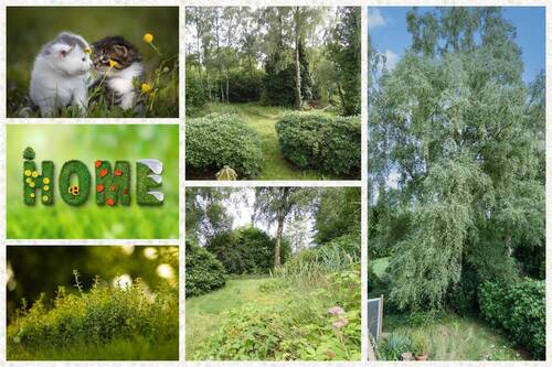 Für Tierfreunde & Naturliebhaber - 6-Zimmer Familienidyll für Tierfreunde & Naturliebhaber