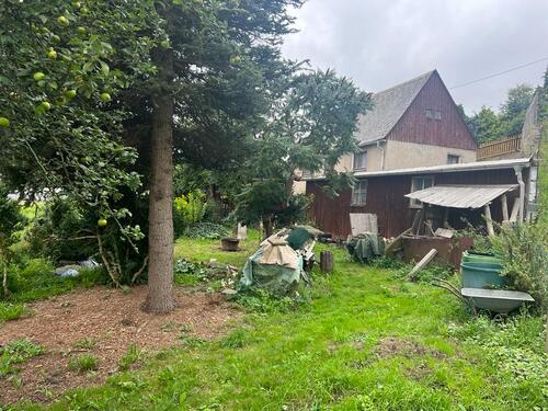 PHOTO-2023-11-02-17-12-42 7.jpg - 