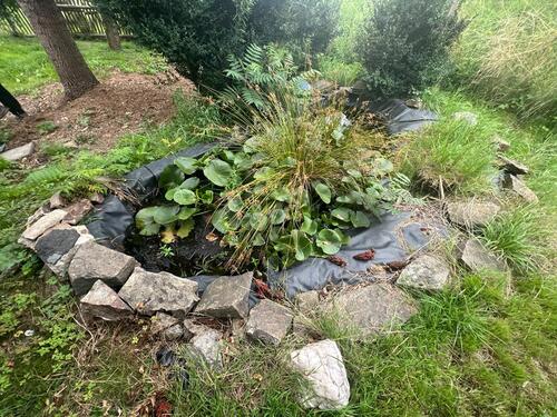 PHOTO-2023-11-02-17-12-42 8.jpg - 