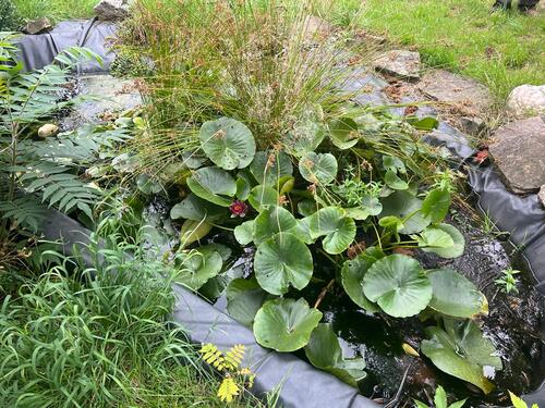 PHOTO-2023-11-02-17-12-42 9.jpg - 