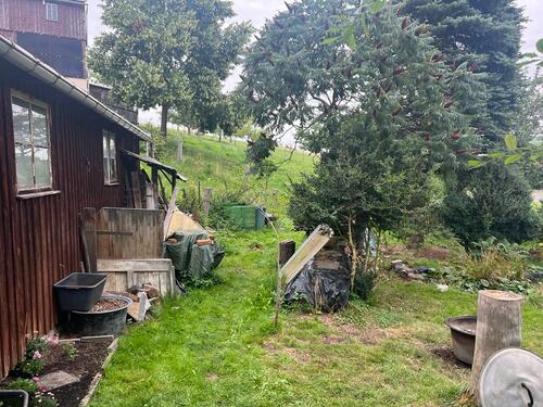 PHOTO-2023-11-02-17-12-42 6.jpg - 