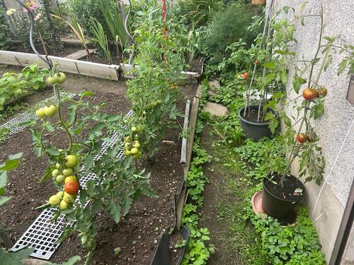 PHOTO-2023-11-02-17-12-42 13.jpg - 