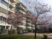 Eichenstraße 1-11 Balkonseitig - Familienfreundliches Zuhause mit Garten und modernem Wannenbad entdecken