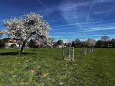 Bild 7 - 