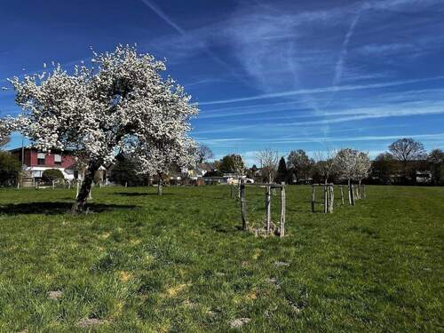 Bild 7 - 