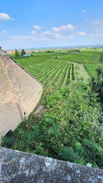 Blick in Rheinebene (5).jpg - 