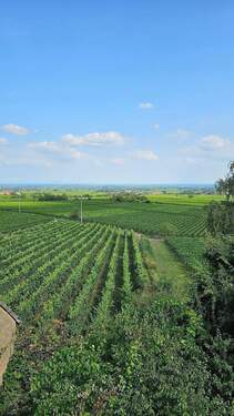 Blick in Rheinebene (8).jpg - 