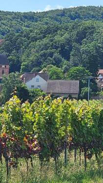 Blick von Rheiebene.jpg - 