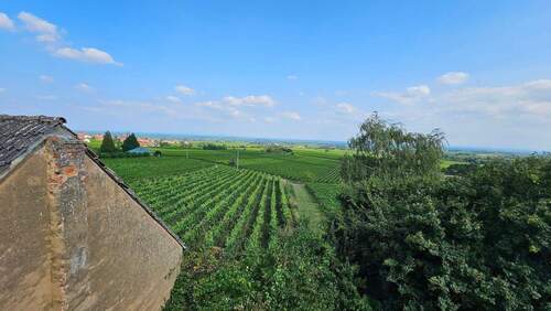 Blick in Rheinebene (6).jpg - 1 Zimmer Bauernhaus, Landhaus zum Kaufen in Gleisweiler