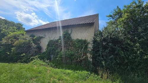 Rückseite Scheuer Ost.jpg - Bauernhaus, Landhaus mit 213,00 m² in Gleisweiler zum Kaufen