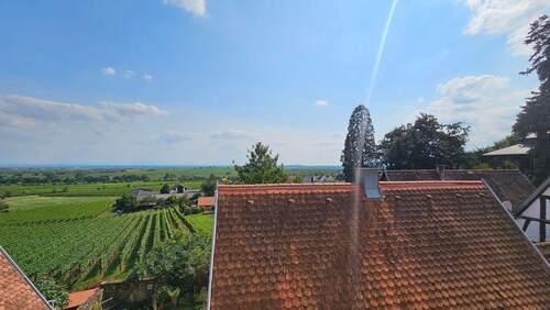 Blick in Rheinebene (2).jpg - 